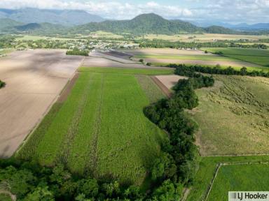 Commercial Farming For Sale - QLD - El Arish - 4855 - Approx. 98 Acres of Prime Rural Farming Land  (Image 2)