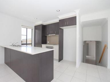 House For Lease - QLD - Rural View - 4740 - MODERN FAMILY HOME ON RURAL VIEW  (Image 2)