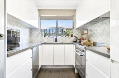 Apartment For Lease - NSW - Dee Why - 2099 - Stylish and Spacious Light Filled 2 Bedroom Security Apartment  (Image 2)