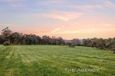 House For Sale - WA - Helena Valley - 6056 - "Ridge Hill Farm" - 6 Acre Rural Heaven with Homestead & Cottage  (Image 2)