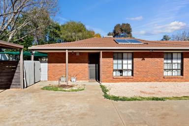 House For Sale - VIC - Mildura - 3500 - Conveniently located unit!  (Image 2)