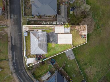 House For Sale - TAS - Railton - 7305 - Secure your future in the heart of Railton  (Image 2)