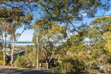 Residential Block For Sale - TAS - Sorell - 7172 - Your Own Piece Of Paradise  (Image 2)