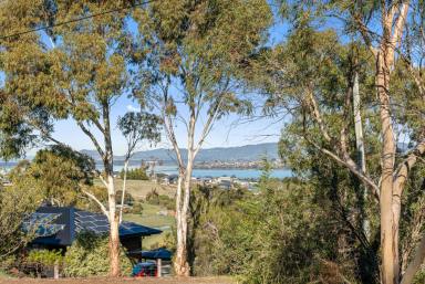 Residential Block For Sale - TAS - Sorell - 7172 - Your Own Piece Of Paradise  (Image 2)