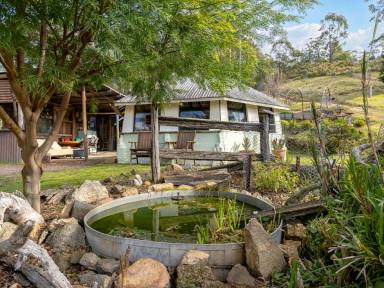 Acreage/Semi-rural For Sale - NSW - Bemboka - 2550 - PERFECT WEEKENDER  (Image 2)