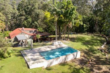 House For Sale - QLD - Eerwah Vale - 4562 - Your Own Private Mountain Sanctuary  (Image 2)