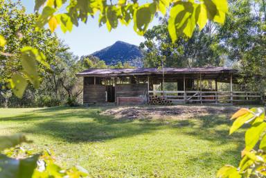 House For Sale - QLD - Eerwah Vale - 4562 - Eerwah Vale Acreage, Your Own Private Mountain Sanctuary  (Image 2)