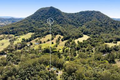Acreage/Semi-rural For Sale - QLD - Eerwah Vale - 4562 - Eerwah Vale Acreage, Your Own Private Mountain Sanctuary (Image 2)