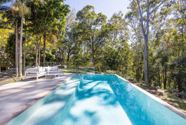 House For Sale - QLD - Eerwah Vale - 4562 - Your Own Private Mountain Sanctuary  (Image 2)