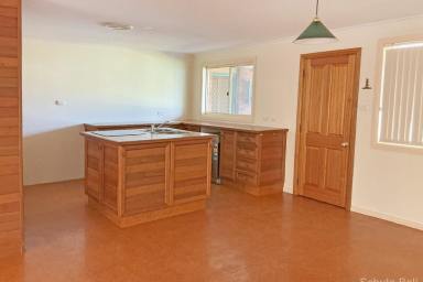 House For Lease - NSW - Narromine - 2821 - Great family home  (Image 2)