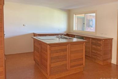 House For Lease - NSW - Narromine - 2821 - Great family home  (Image 2)