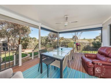 House For Sale - SA - Mannum - 5238 - An absolute gem on a great block  (Image 2)