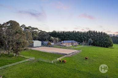Acreage/Semi-rural For Sale - VIC - Buln Buln East - 3821 - Just 10 Minutes from Warragul & Just Over an Hour to Melbourne  (Image 2)