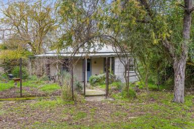 Mixed Farming For Sale - VIC - Campbelltown - 3364 - 117Ha (app. 290 Ac); Historic Cottage; Creek Frontage; Shedding  (Image 2)