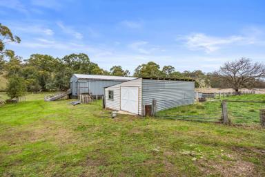 Mixed Farming For Sale - VIC - Campbelltown - 3364 - 117Ha (app. 290 Ac); Historic Cottage; Creek Frontage; Shedding  (Image 2)
