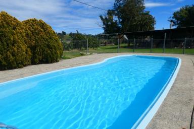 Acreage/Semi-rural For Sale - NSW - Mallanganee - 2469 - GOLDEN OLDIE  (Image 2)