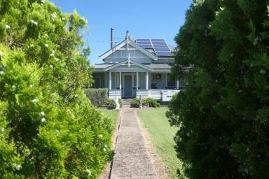 Acreage/Semi-rural For Sale - NSW - Mallanganee - 2469 - GOLDEN OLDIE  (Image 2)