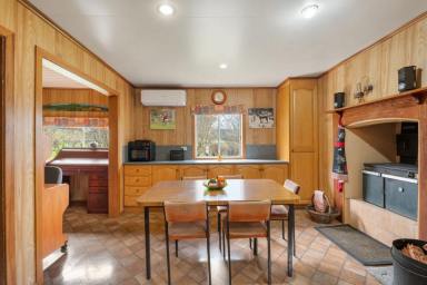 Acreage/Semi-rural For Sale - NSW - Mallanganee - 2469 - STUNNING HOMESTEAD ON JUST UNDER 1 ACRE  (Image 2)