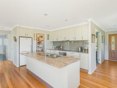 Acreage/Semi-rural Sold - NSW - Bega - 2550 - SMALL ACRES CLOSE TO TOWN  (Image 2)