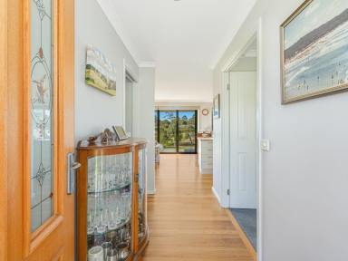 Acreage/Semi-rural Sold - NSW - Bega - 2550 - SMALL ACRES CLOSE TO TOWN  (Image 2)