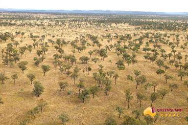 Other (Rural) For Sale - QLD - Basalt - 4820 - Twelve Mile Station  (Image 2)