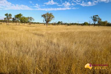 Other (Rural) For Sale - QLD - Basalt - 4820 - Twelve Mile Station  (Image 2)