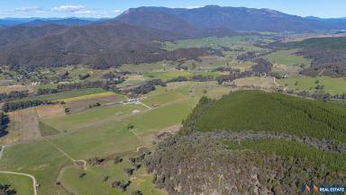 Other (Residential) For Sale - VIC - Myrtleford - 3737 - 65 Acres on Buffalo River  (Image 2)