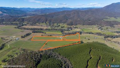 Other (Residential) For Sale - VIC - Myrtleford - 3737 - 65 Acres on Buffalo River  (Image 2)