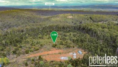Residential Block For Sale - TAS - Underwood - 7268 - Build Your Dream Home or AirBnB Hideaway 
What Would You Choose?  (Image 2)