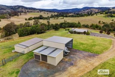 Acreage/Semi-rural For Sale - NSW - Wherrol Flat - 2429 - AN INCREDIBLE RURAL PACKAGE WITH SO MANY OPTIONS  (Image 2)