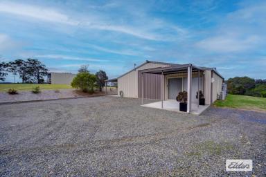 Acreage/Semi-rural For Sale - NSW - Wherrol Flat - 2429 - AN INCREDIBLE RURAL PACKAGE WITH SO MANY OPTIONS  (Image 2)
