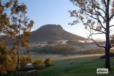 Acreage/Semi-rural For Sale - NSW - Killabakh - 2429 - WHERE A FANTASTIC WAY OF LIFE IS GUARANTEED  (Image 2)