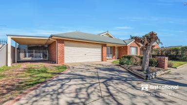 House For Sale - VIC - Echuca - 3564 - Spacious Family Living on 900sqm with Outstanding Shedding  (Image 2)