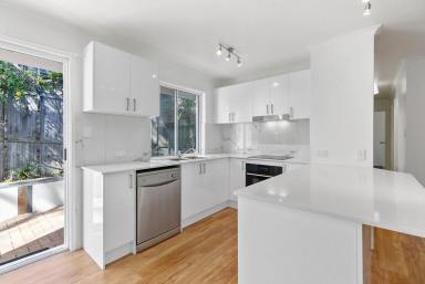 House For Lease - QLD - Sunshine Beach - 4567 - 3 Bedroom Family in Sunshine Beach  (Image 2)
