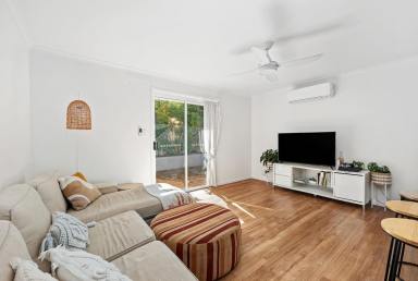 House For Lease - QLD - Sunshine Beach - 4567 - 3 Bedroom Family in Sunshine Beach  (Image 2)