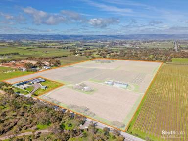 Other (Rural) For Sale - SA - McLaren Vale - 5171 - Elevated 16 ha overlooking McLaren Vale township & surrounding countryside.  (Image 2)