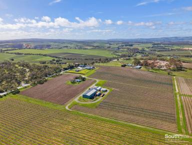 Other (Rural) For Sale - SA - McLaren Vale - 5171 - Elevated 16 ha overlooking McLaren Vale township & surrounding countryside.  (Image 2)