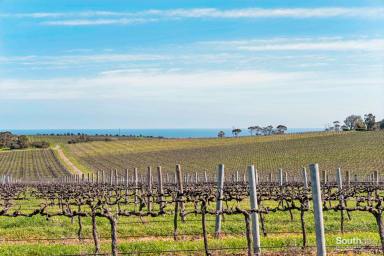 Other (Rural) For Sale - SA - McLaren Vale - 5171 - Elevated 16 ha overlooking McLaren Vale township & surrounding countryside.  (Image 2)