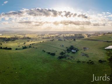 Lifestyle Sold - NSW - Allandale - 2320 - Allandale – Farm, Land Bank or Commercial Site with Highway Frontage  (Image 2)
