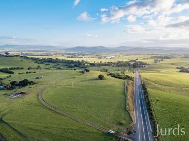 Lifestyle Sold - NSW - Allandale - 2320 - Allandale – Farm, Land Bank or Commercial Site with Highway Frontage  (Image 2)