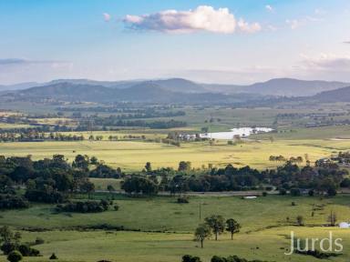 Lifestyle For Sale - NSW - Allandale - 2320 - Allandale – Farm, Land Bank or Commercial Site with Highway Frontage  (Image 2)