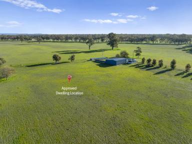 Lifestyle For Sale - VIC - Euroa - 3666 - Versatile Acreage with Planning Permit to Build  (Image 2)