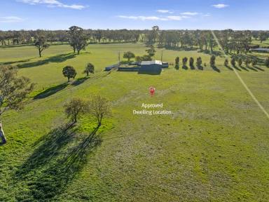 Lifestyle For Sale - VIC - Euroa - 3666 - Versatile Acreage with Planning Permit to Build  (Image 2)