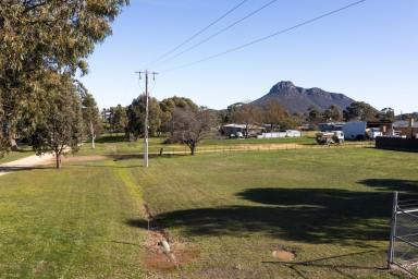 Residential Block For Sale - VIC - Dunkeld - 3294 - Dunkeld building block with mountain views  (Image 2)