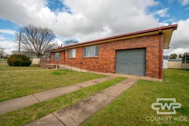 House For Lease - NSW - Glen Innes - 2370 - Spacious Family Home  (Image 2)