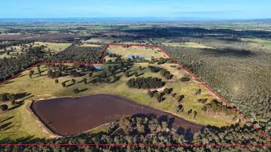 Lifestyle For Sale - VIC - Heyfield - 3858 - WELL POSITIONED 237 ACRES (APPROX) WITH MULTIPLE DAMS  (Image 2)
