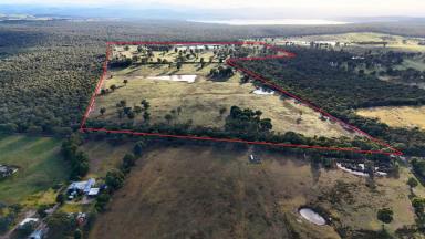 Lifestyle For Sale - VIC - Heyfield - 3858 - WELL POSITIONED 237 ACRES (APPROX) WITH MULTIPLE DAMS  (Image 2)