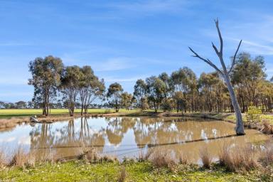 Mixed Farming For Sale - VIC - Shelbourne - 3515 - Beautiful & Scenic 62 Acres  (Image 2)