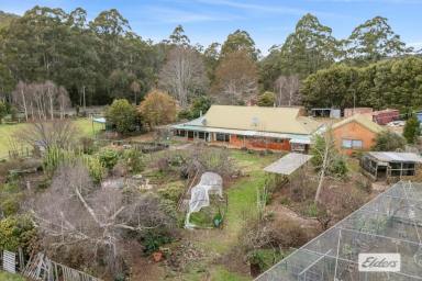 Lifestyle For Sale - TAS - Forth - 7310 - RELAXED, PEACEFUL, SELF-SUFFICIENT LIFESTYLE  (Image 2)