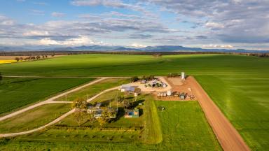 Cropping For Sale - NSW - Narrabri - 2390 - PRODUCTIVE BROADACRE HOLDING - CLOSE TO TOWN  (Image 2)